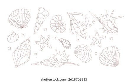 Hand-drawn seashells and starfish collection. Simple line art in minimal style, perfect for beach designs, summer decorations, invitations, and marine-themed projects.