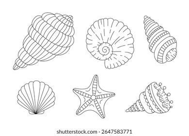 Hand-drawn seashells and starfish coloring page vector illustration, ocean marine elements for kids and adults