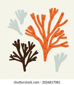 Hand-drawn seaweeds and corals, isolated on beige. Concept of ocean flora and fauna, marine and underwater life, summertime. Colored vector illustration.