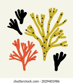 Hand-drawn seaweeds in red, green and black color. Concept of ocean flora and fauna, marine and underwater life, summertime. Vector illustration, isolated on beige.