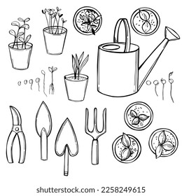 Hand-drawn seedlings and tools for the garden. Vector sketch  illustration.