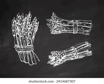 A hand-drawn set of asparagus in sketch style. Vector vegetables on chalkboard background. Vintage doodle illustration. Sketch for cafe menus and labels. The engraved image. Harvesting.