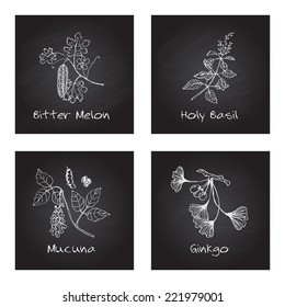 Handdrawn set of Ayurvedic Herbs on black chalkboard. Bitter melon, Holy Basil, Mucuna, Ginkgo