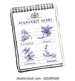 Hand-drawn set - Ayurvedic Herbs. Turmeric, Maca, Gymnema, Bacopa