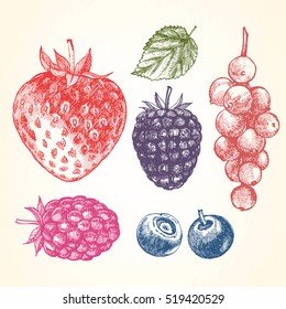 Hand-drawn set of Berries. Vector