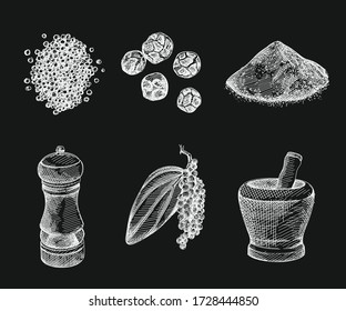 Hand-drawn set of black pepper. Handful of pepper, peppercorns, pepper powder, branch with a leaf, black pepper grinder, bowl for spice grinding. Spice and seasoning	
