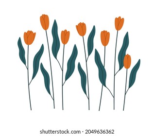 Hand-drawn set of blooming red tulips. Concept of spring botanical, flowers, greeting card, gardening, spring. Vector colorful illustration isolated on beige background.
