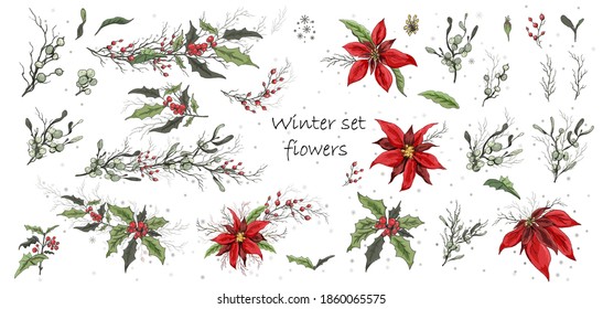 a hand-drawn set of bouquets, branches,  flowers isolated on a white background. realistic Botanical elements. modern flowers (poinsettia, white mistletoe, Holly). for decoration in the winter season.