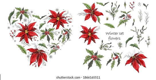 a hand-drawn set of bouquets, branches, and flowers isolated on a white background. realistic Botanical elements. modern flowers (poinsettia, white mistletoe, Holly). vintage style