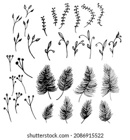 A hand-drawn set of branches, leaves, berries, plants and feathers. Isolated on a white background doodle.