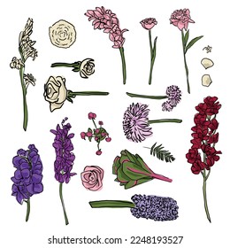a hand-drawn set of colored flowers and leaves of various types. cartoon sketch on a white background