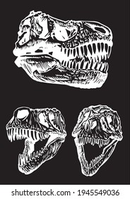 Hand-drawn set of dinosaur skulls on black background,vector elements
