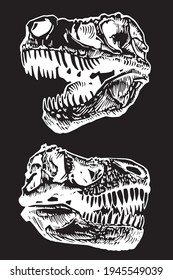 Hand-drawn set of dinosaur skulls on black background,vector elements