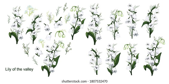 hand-drawn set with flowers of the Lily of the valley, primrose. realistic Doodle isolated on white background. Botanical elements for decoration, decor, presentation, Wallpaper.