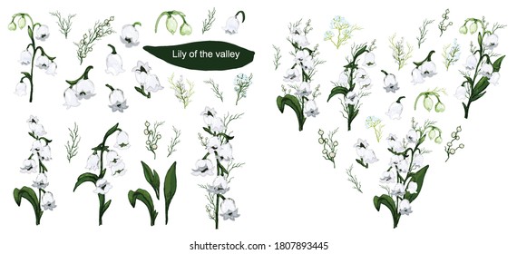 hand-drawn set with flowers of the Lily of the valley, primrose. realistic Doodle isolated on white background. Botanical elements for decoration, decor, presentation, Wallpaper.
