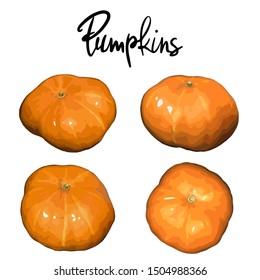 Hand-drawn set of four different realistic vector pumpkins. Pumpkins for Halloween.