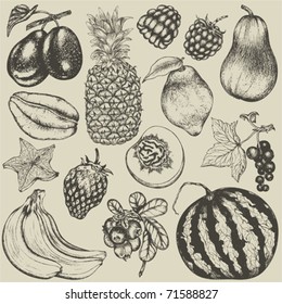 Hand-drawn set of fruit and berries