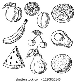 Hand-drawn set of fruits. Vector cartoon sketches. Isolated objects on a white background. Fresh foods.
