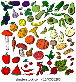 Hand-drawn set of fruits, vegetables, mushrooms and berries. Vector cartoon sketches. Isolated objects on a white background. Vegetarian collection. Fresh food. Elements of menu.