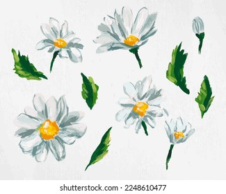 Hand-drawn set of green and white daisies