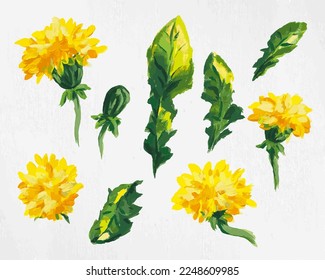 Hand-drawn set of green and yellow dandelions
