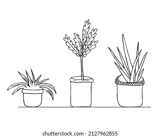 Hand-drawn Set of house plants in pots for the interior of the house. Decorative flower. Vector illustration of garden flowers in the style of art lines isolated on a white background