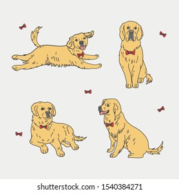 Hand-drawn set of illustrations depicting a happy golden labrador retriever dog, jumping, running, sitting and laying down.