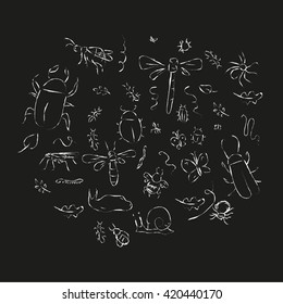 hand-drawn set of insects on a black background, vector illustration
