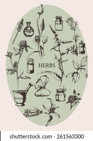 Hand-drawn set of objects and herbs. Vector