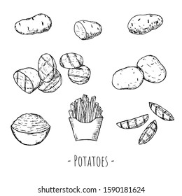 Hand-drawn set of potatoes. Raw, grilled, mashed potatoes and french fries.