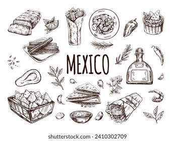 Hand-drawn set of realistic mexican dishes and products. Vintage sketch drawings of Latin American cuisine. Vector ink illustration. Mexican culture. Latin America.