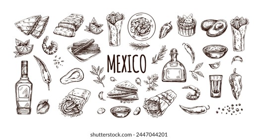 Hand-drawn set of realistic mexican dishes and products. Vintage sketch drawings of Latin American cuisine. Vector ink illustration. Mexican culture. Latin America.