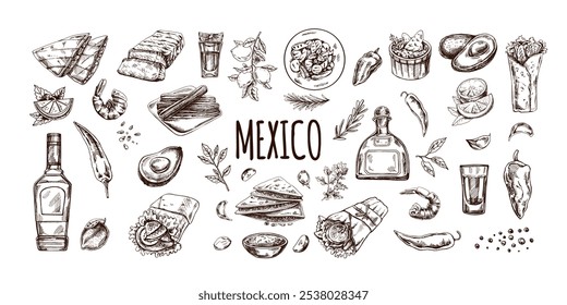 Hand-drawn set of realistic mexican dishes and products. Vintage sketch drawings of Latin American cuisine. Vector ink illustration. Mexican culture. Latin America.