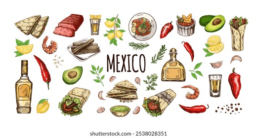 Hand-drawn set of realistic mexican dishes and products. Vintage sketch drawings of Latin American cuisine. Vector ink illustration. Mexican culture. Latin America.