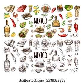 Hand-drawn set of realistic mexican dishes and products. Vintage sketch drawings of Latin American cuisine. Vector ink illustration. Mexican culture. Latin America.