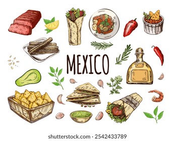 Hand-drawn set of realistic mexican dishes and products. Vintage sketch drawings of Latin American cuisine. Vector ink illustration. Mexican culture. Latin America.