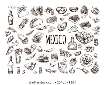 Hand-drawn set of realistic mexican dishes and products. Vintage sketch drawings of Latin American cuisine. Vector ink illustration. Mexican culture. Latin America.