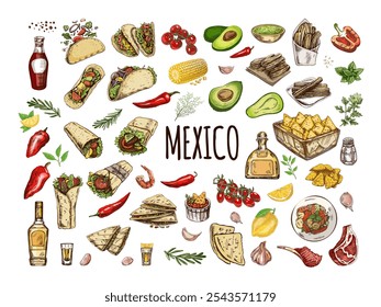 Hand-drawn set of realistic mexican dishes and products. Vintage sketch drawings of Latin American cuisine. Vector ink illustration. Mexican culture. Latin America.