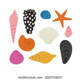 Hand-drawn set of seashells and starfish. Concept of ocean flora and fauna, marine and underwater life, summertime. Colored vector illustration, isolated on white.