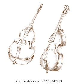 Hand-drawn set of stringed musical instruments.  Engraving art. Double-bass in two angles for banner and advertising by cross-hatching, contour hatching pen ink sketch drawing technique.Use tecnicia