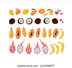 Hand-drawn Set Of Tropical Fruits. Mango, Lychee, Coconut, Papaya, Bananas, Dragon Fruit. Collection Of Healthy Food, Asian Fruits. Colored Flat Vector Illustration. 