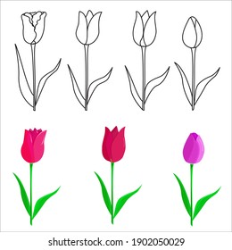 Tulip Flower Patterns - Photoshop patterns