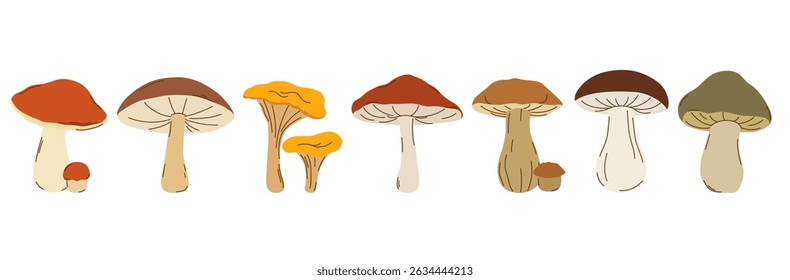 Hand-drawn set of various autumn mushrooms. Vector illustration perfect for seasonal design, packaging, forest themes, recipes, kitchen decor, and botanical projects.