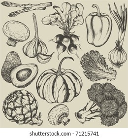 Hand-drawn set vegetables