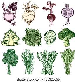 Hand-drawn Set with Vegetables. Organic Food theme.