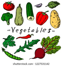 Hand-drawn set of vegetables. Vector cartoon illustrations. Isolated objects on a white background. Vegetarian food. Skethes of foods.