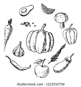 Hand-drawn set of vegeterian food. Isolated sketches on a white background. Vector cartoon doodles. Fruits and vegetables.