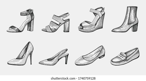 Hand-drawn set of women shoes. Block Heels, Ankle Booties on medium heel, Ballerina flats, Pumps, stiletto, Open Toe Sandals, Slingback medium heel, Wedge Sandals, Loafers, slippers, moccasins.