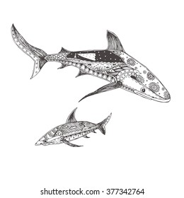Hand-drawn shark with ethnic doodle pattern. Coloring page - zendala, for  relaxation and meditation for adults, vector illustration, isolated on a white background. Zendoodle.