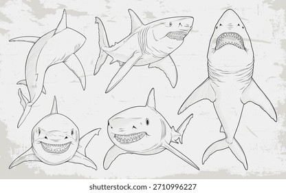Esboço de tubarão desenhado à mão definido em estilo de arte de linha cômica, ilustrações detalhadas de predador com múltiplas posas no fundo grunge para o projeto da vida selvagem marinha